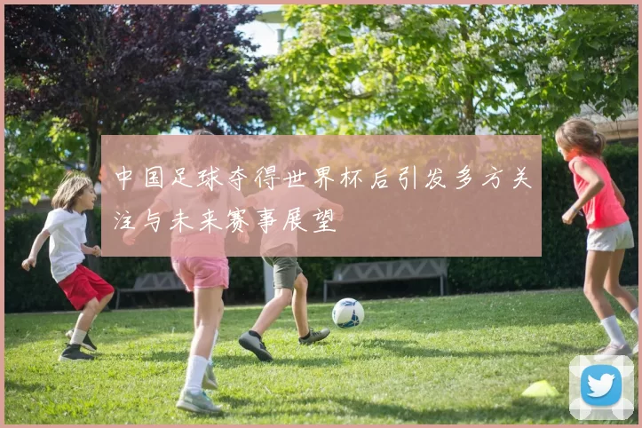 中国足球夺得世界杯后引发多方关注与未来赛事展望