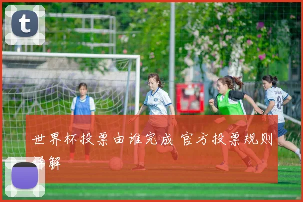 世界杯投票由谁完成 官方投票规则详解
