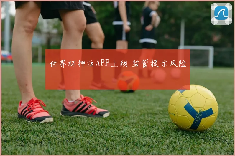 世界杯押注APP上线 监管提示风险