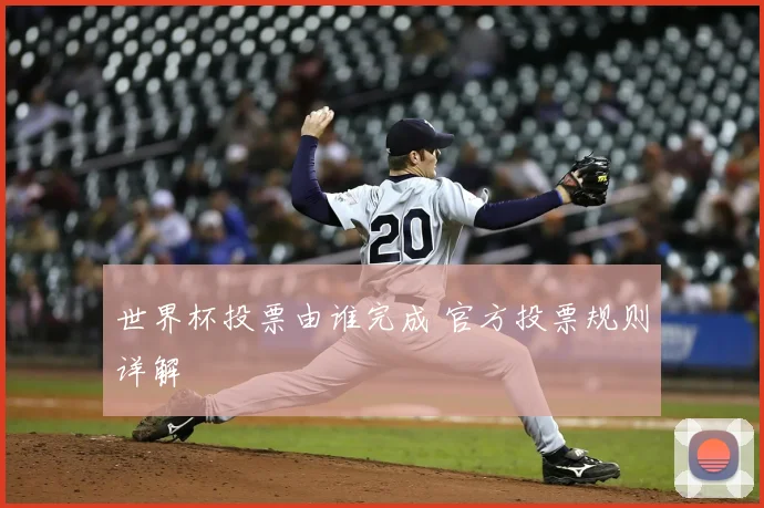 世界杯投票由谁完成 官方投票规则详解