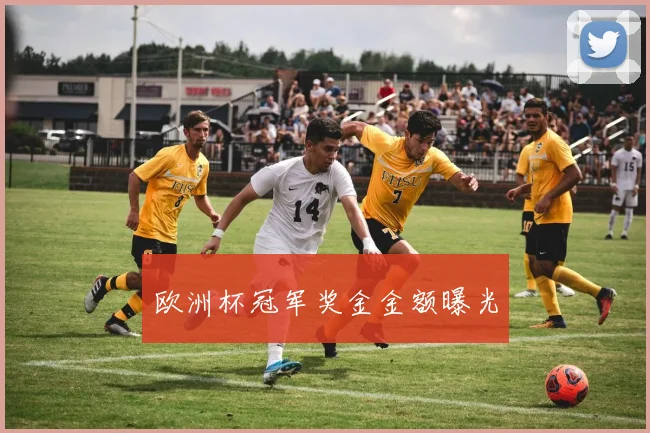 欧洲杯冠军奖金金额曝光