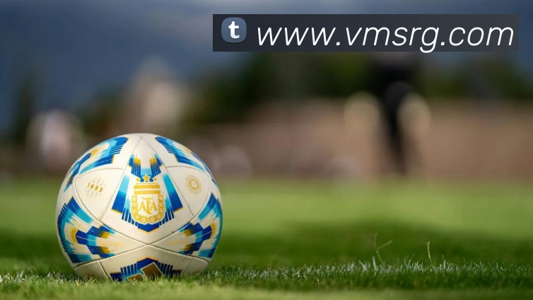 企业概况